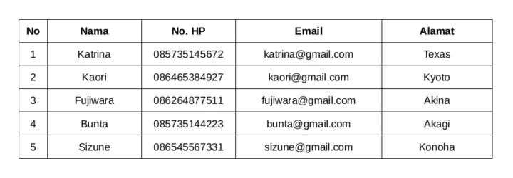 Tabel data pelanggan berisi kolom No, Nama, No HP, Email, dan Alamat untuk contoh format file CSV.